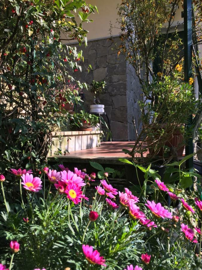 Bed and Breakfast Il Nido Della Rondine Leivi Exterior foto